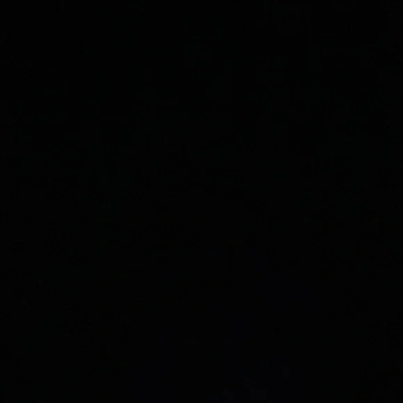 IGNORE - Picture 1 of 1